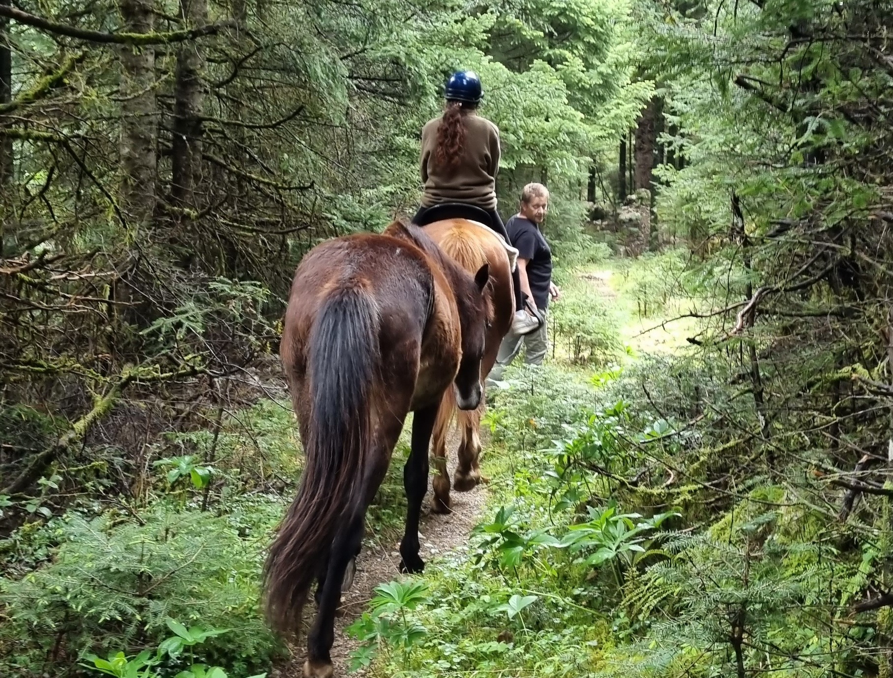 רכיבה על סוסים זגורי
